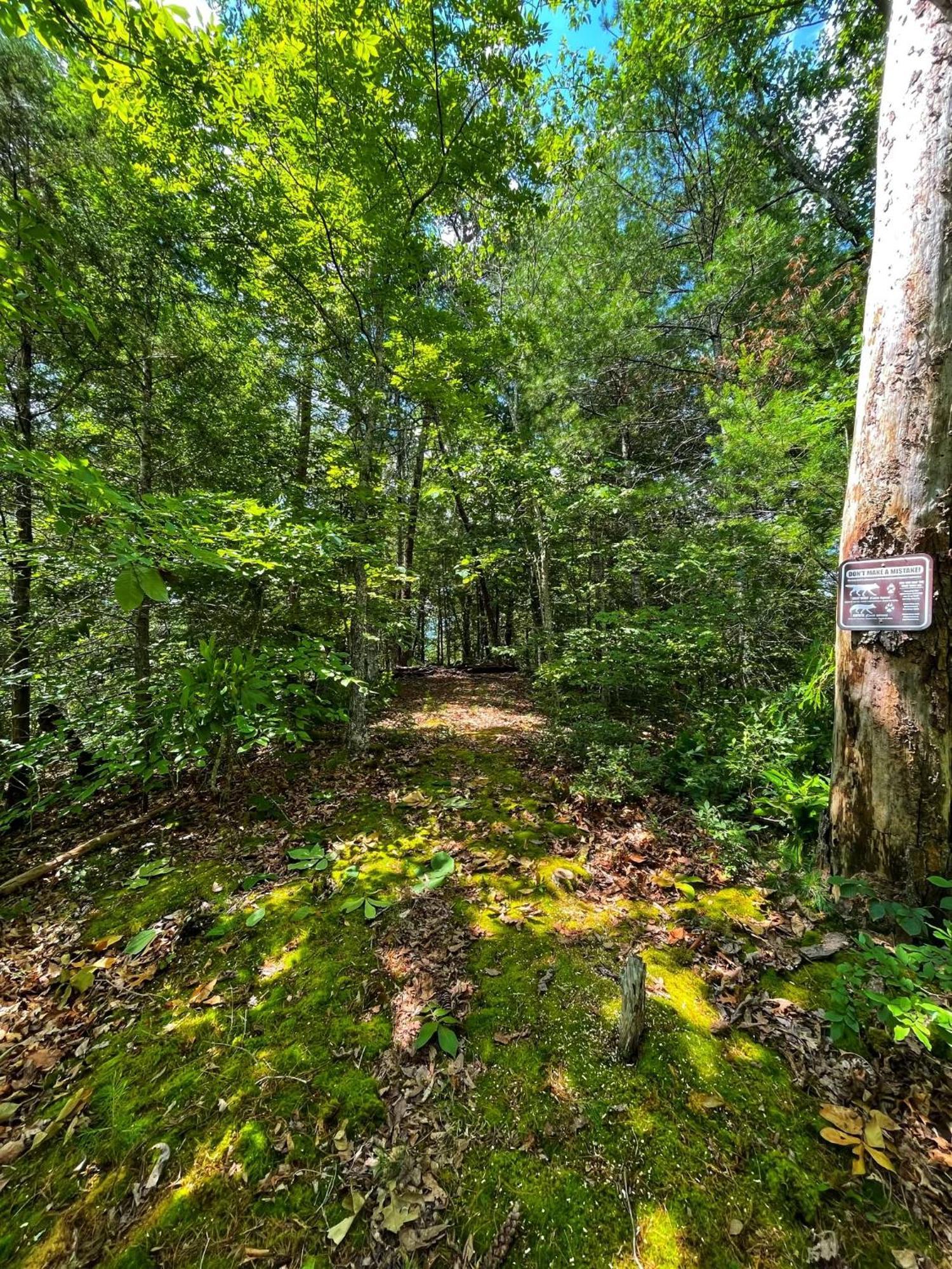 Tiny House, Wifi,Hot Tub,Secluded Villa Cosby Eksteriør bilde