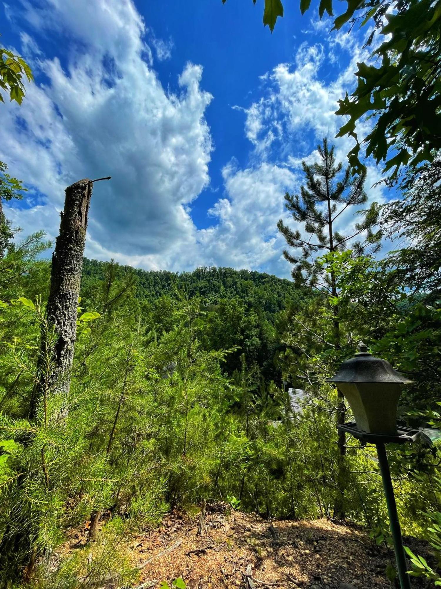 Tiny House, Wifi,Hot Tub,Secluded Villa Cosby Eksteriør bilde